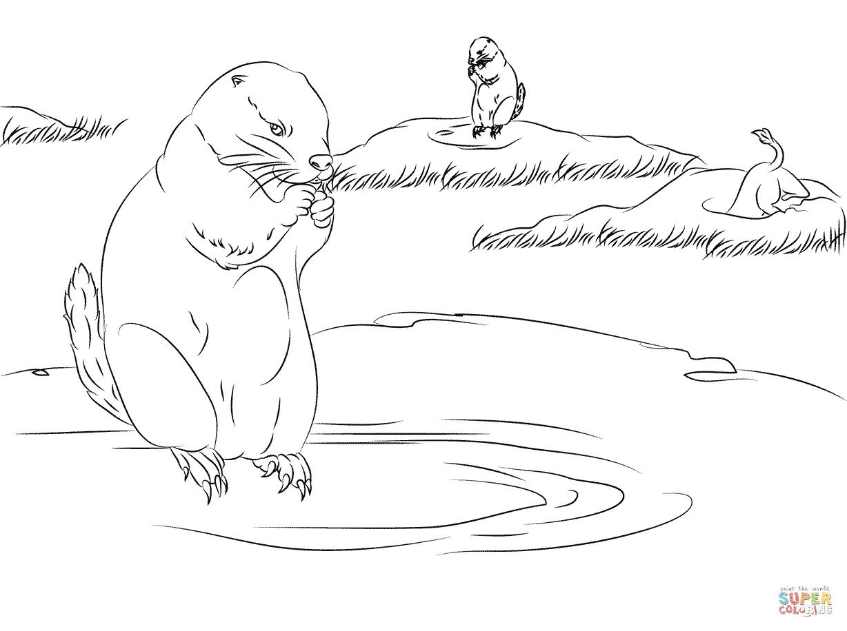 Prairie dogs burrow homes in the ground coloring page free printable coloring pages