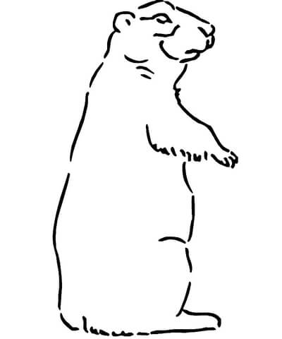 Prairie dog coloring page free printable coloring pages