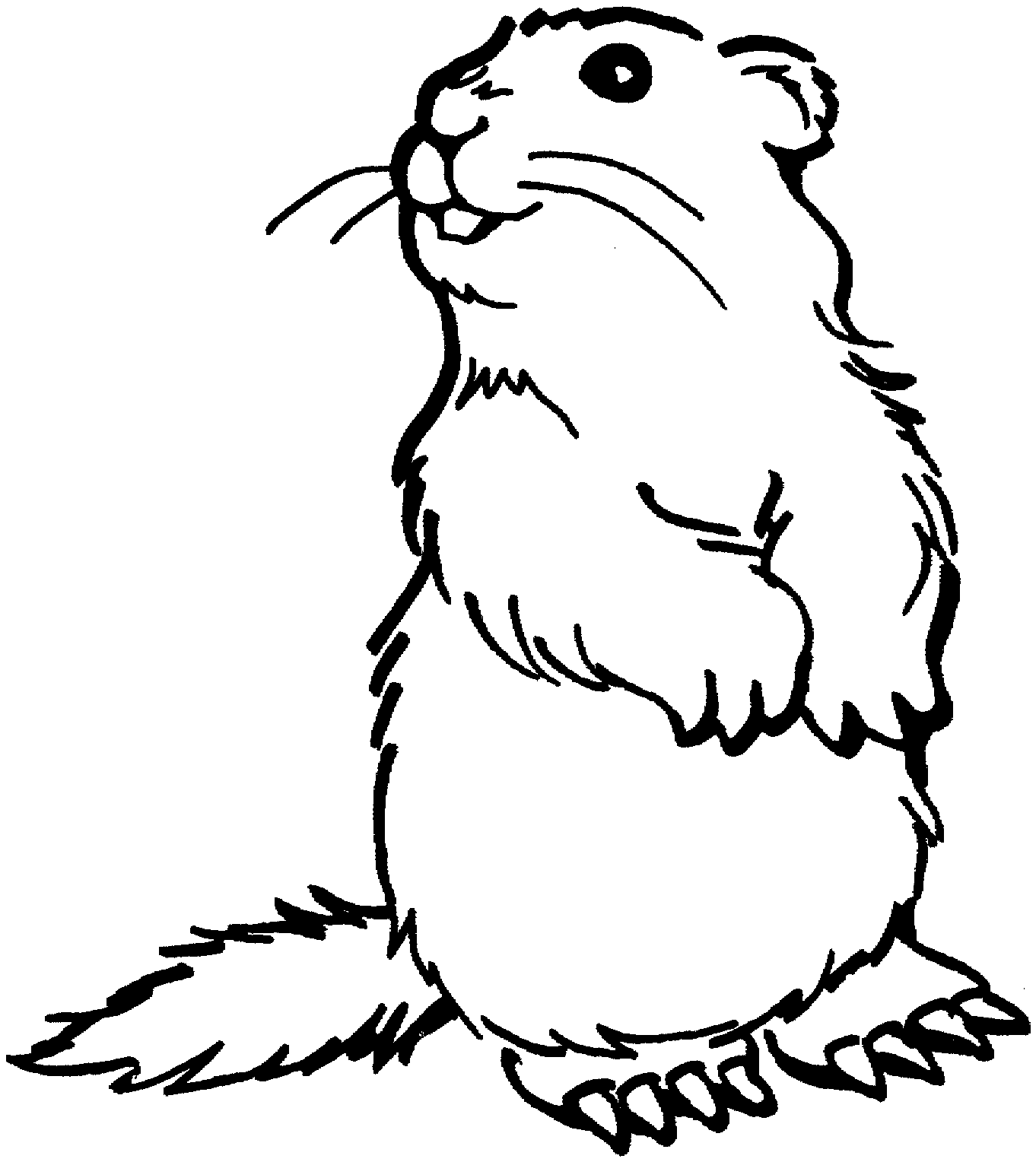 Free prairie dog coloring pages