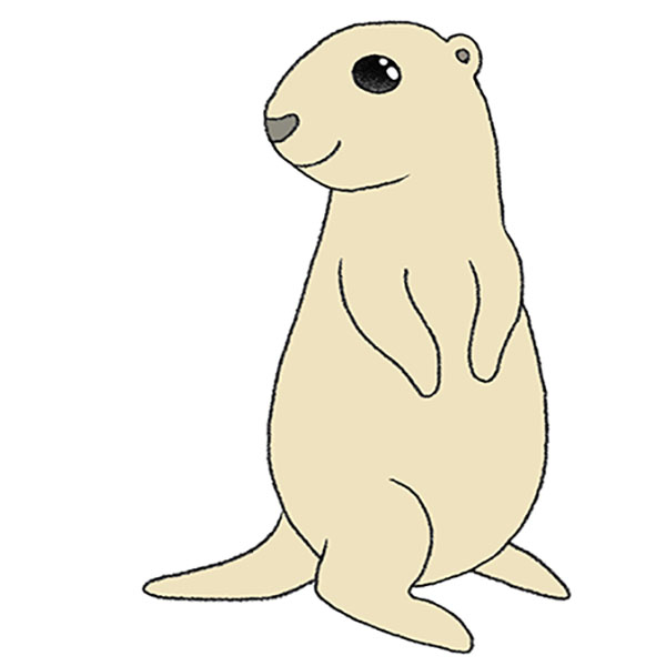 How to draw a prairie dog