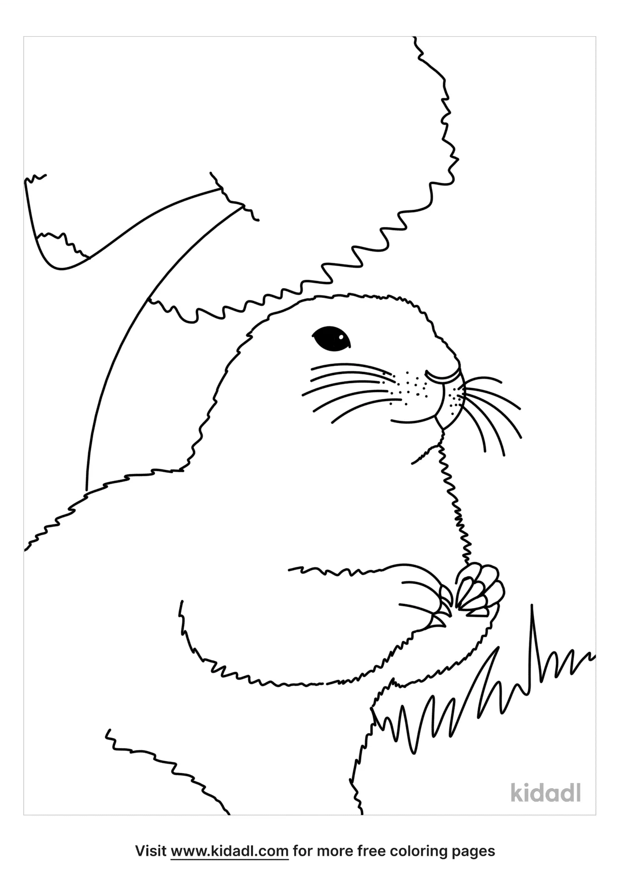 Free prairie dog coloring page coloring page printables