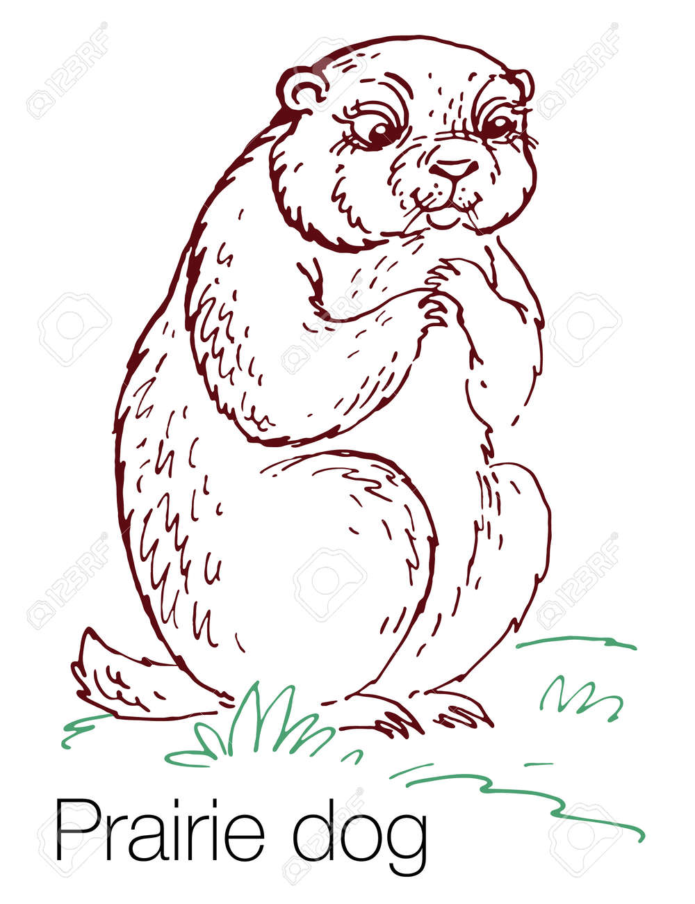 Prairie dog hand drawn vector illustration royalty free svg cliparts vectors and stock illustration image