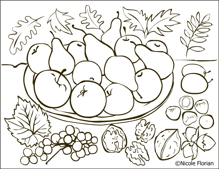 Nicoles free coloring pages autumn fruits coloring page desene de colorat cu toamna