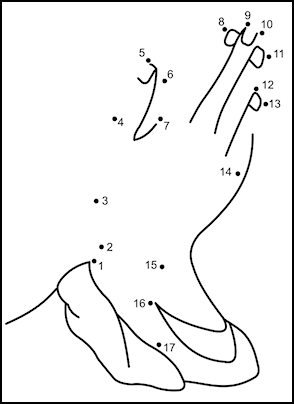 Bible coloring pages for sunday school