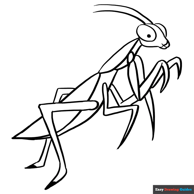 Praying mantis coloring page easy drawing guides