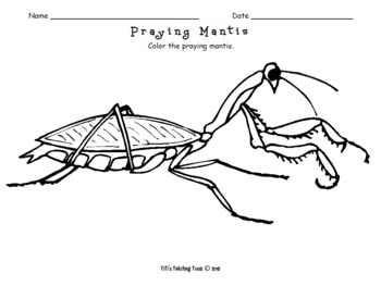Praying mantis coloring page by titis teaching tools tpt