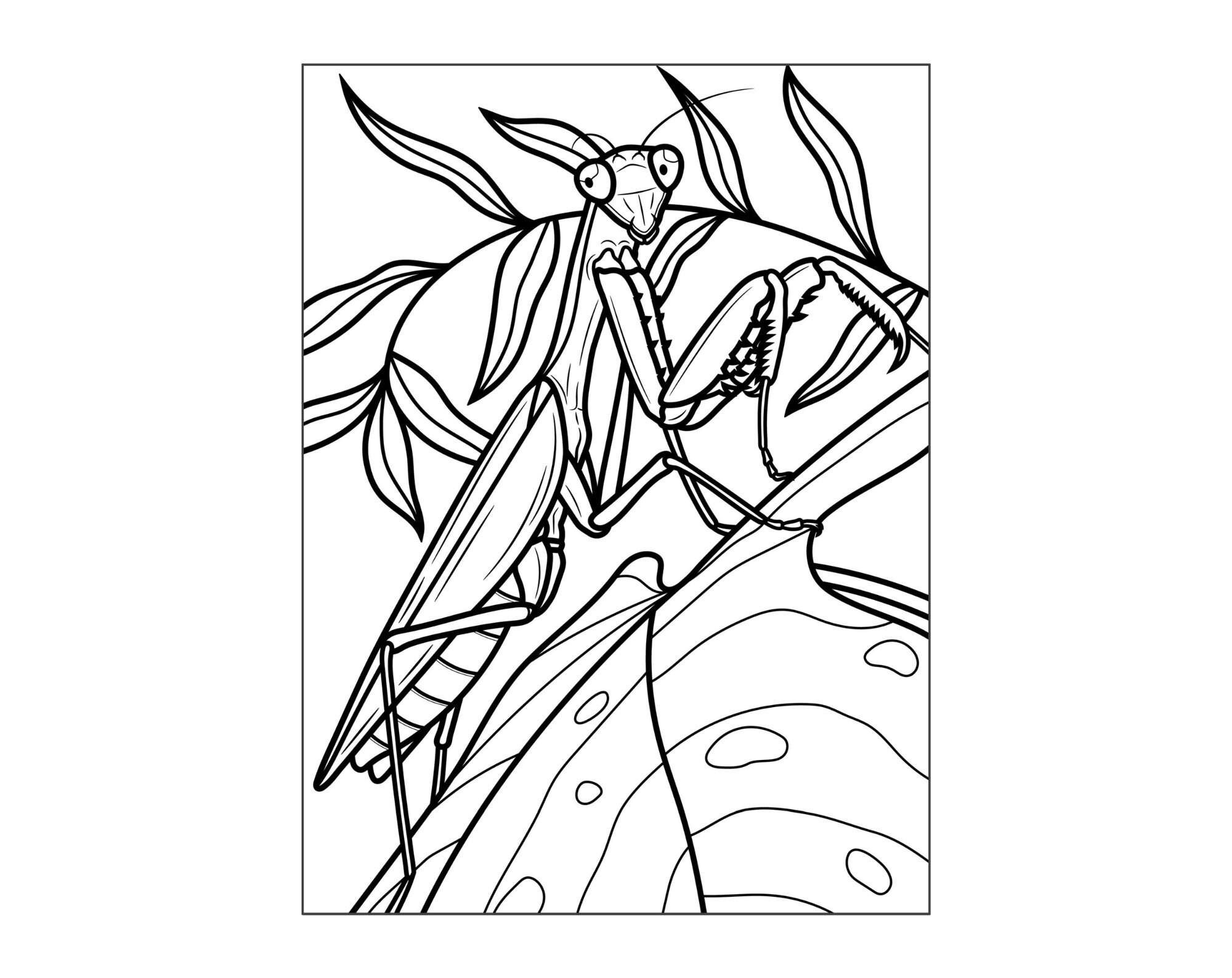 X kids insect coloring poster manny the praying mantis child diy wall art kids coloring activity
