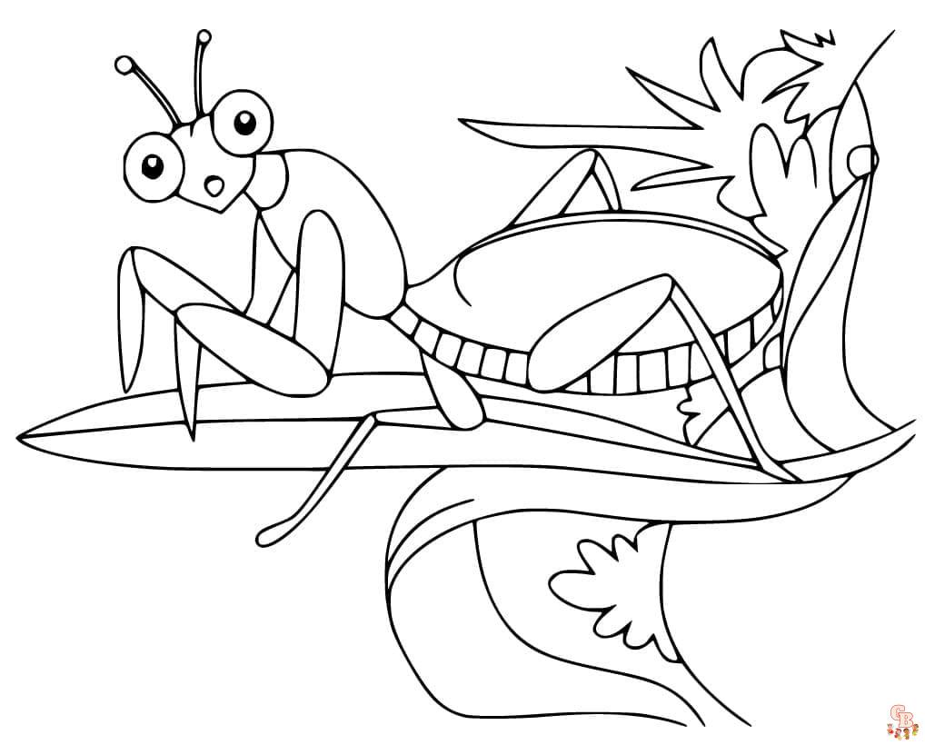 Cute praying mantis coloring pages printable free and easy