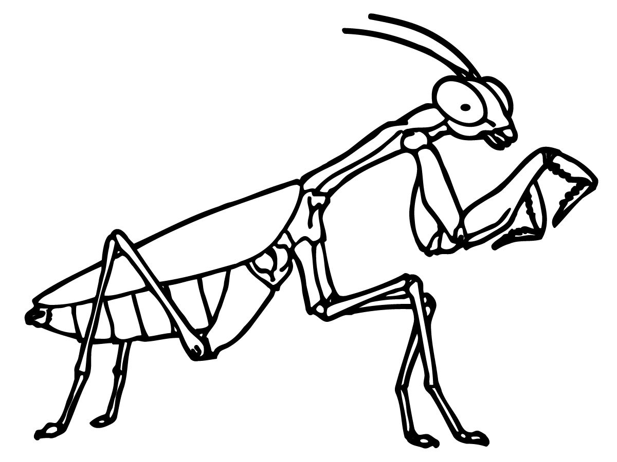 Printable bug coloring pages coloring me insect coloring pages bug coloring pages animal coloring pages