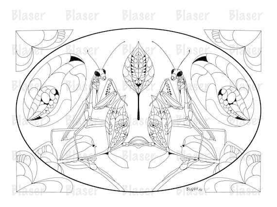 Coloring page praying mantis printable symmetrical coloring digital download adults kids insect