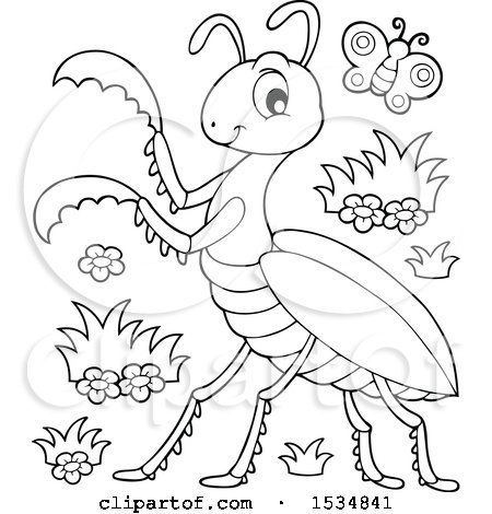 Clipart of a black and white butterfly and praying mantis