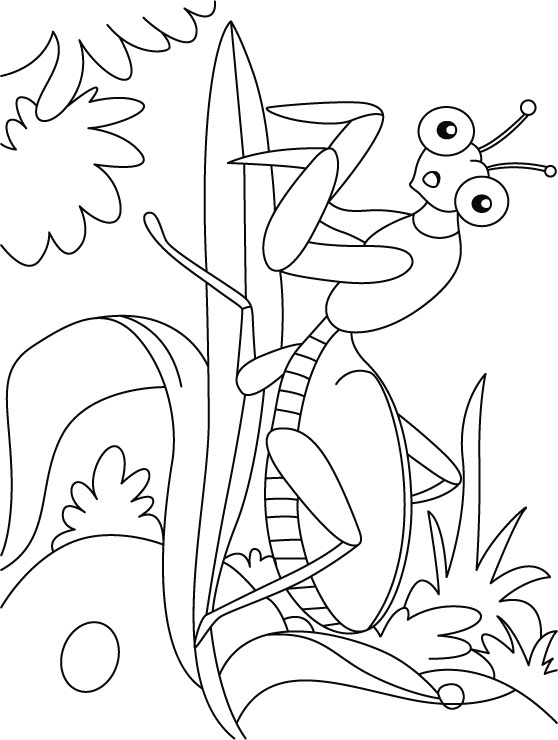 Leaf mentis at ease coloring pages download free leaf mentis at ease coloring pages for kids best coloring pages