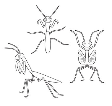 Insect set cute mantis cartoon vector coloring book vector