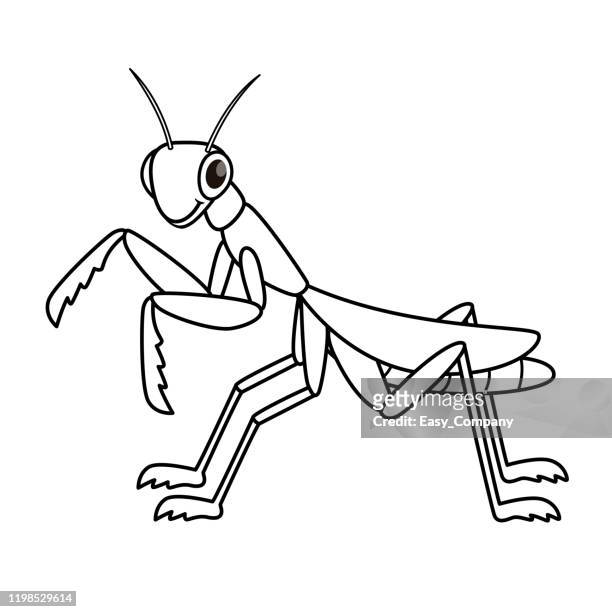 Vector illustration of mantis isolated on white background for kids coloring book high