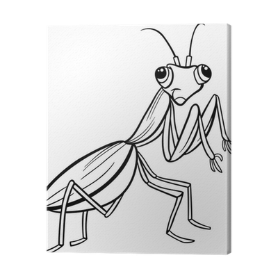 Canvas print mantis insect cartoon coloring page