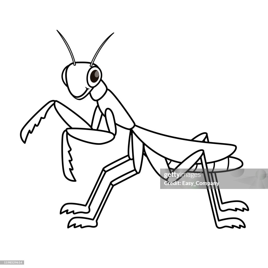 Vector illustration of mantis isolated on white background for kids coloring book high