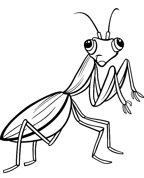 Printable mantis coloring page