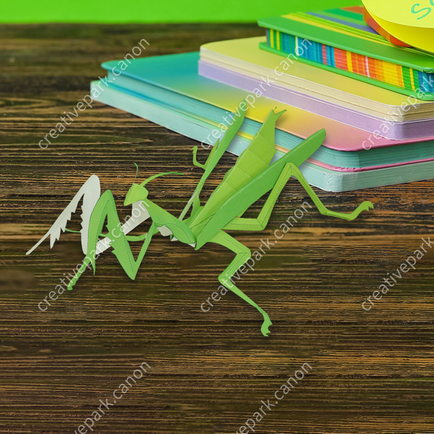 Praying mantis