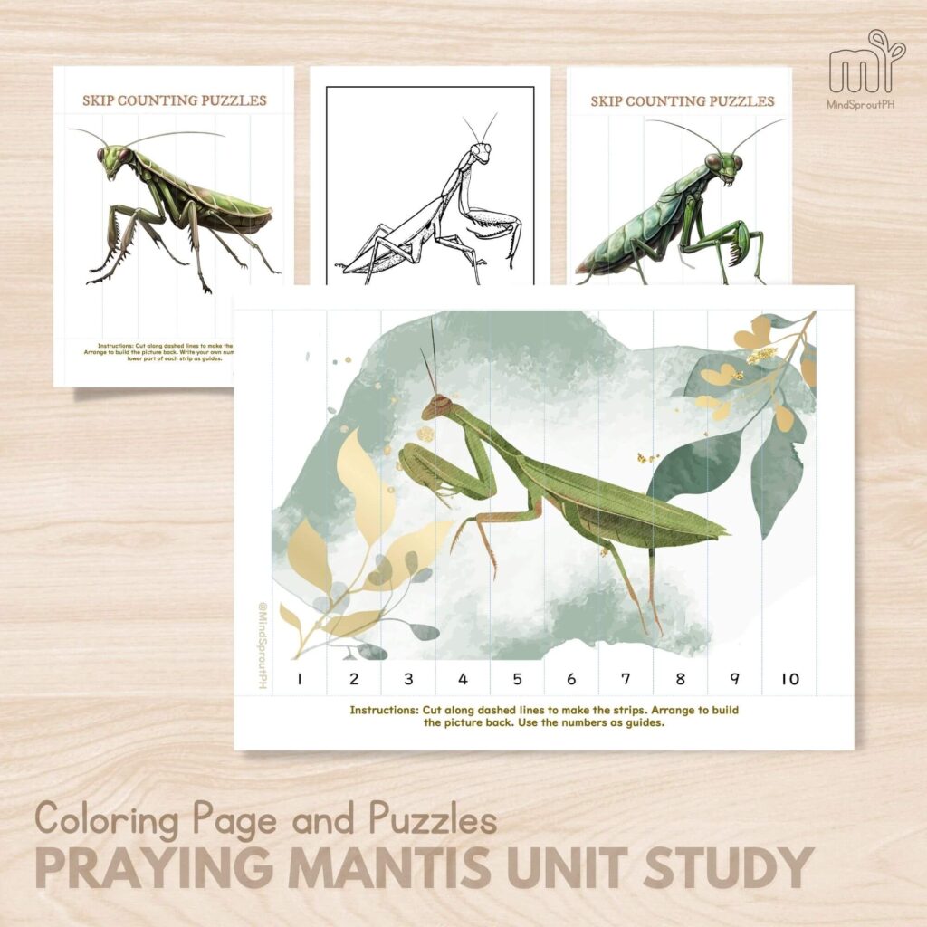 Prayg mantis unit study for ages