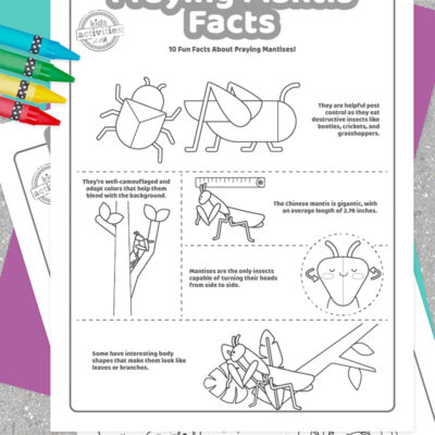 Praying mantis facts for curious kids kids activities blog