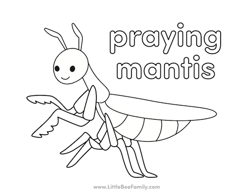 Praying mantis coloring page