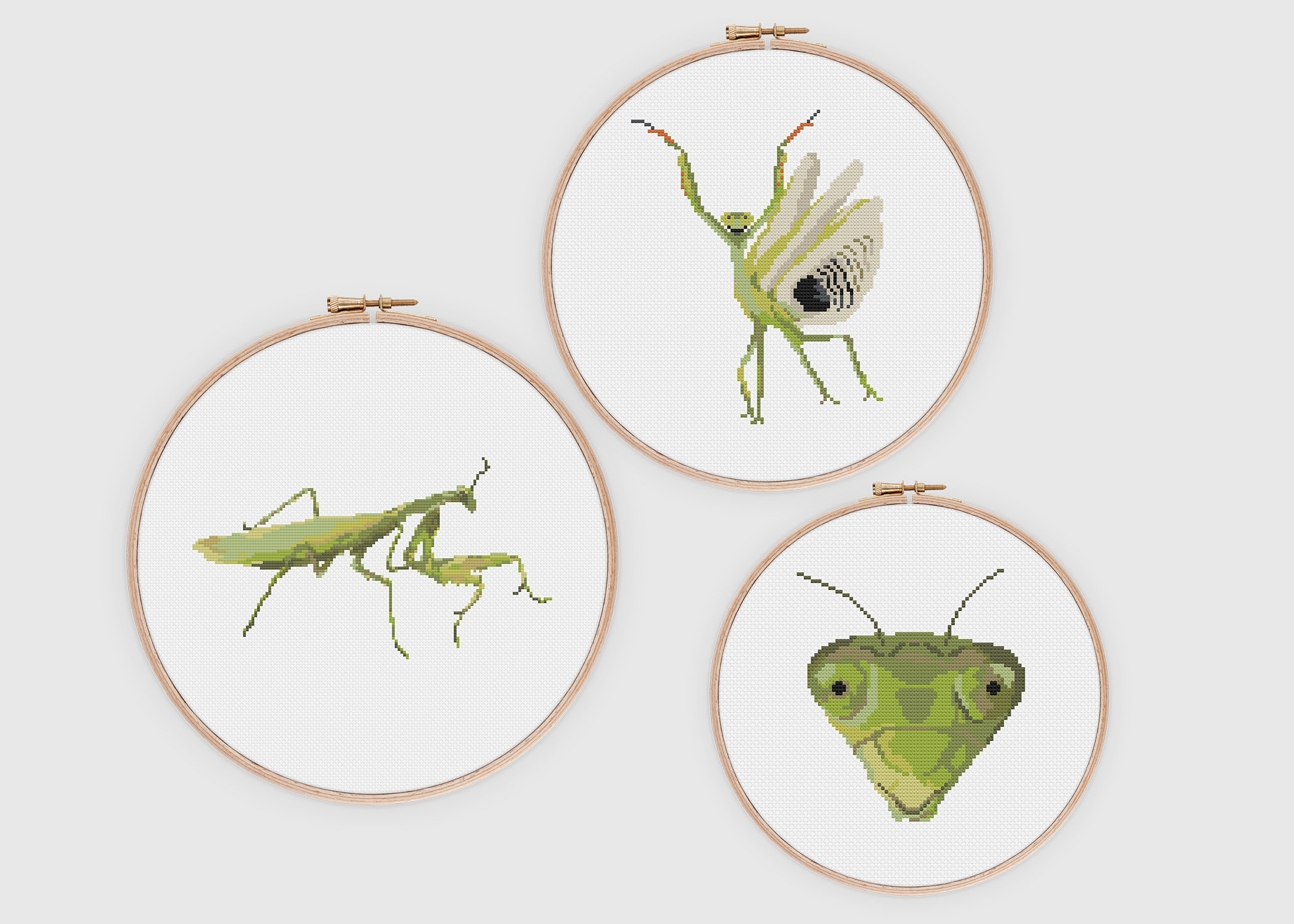 Praying mantis standing defensive pose face insect instant digital download pdf pattern