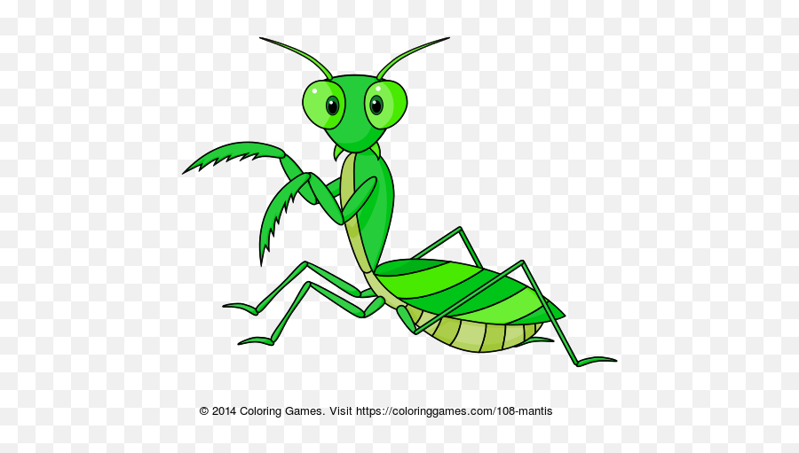 Mantis coloring page