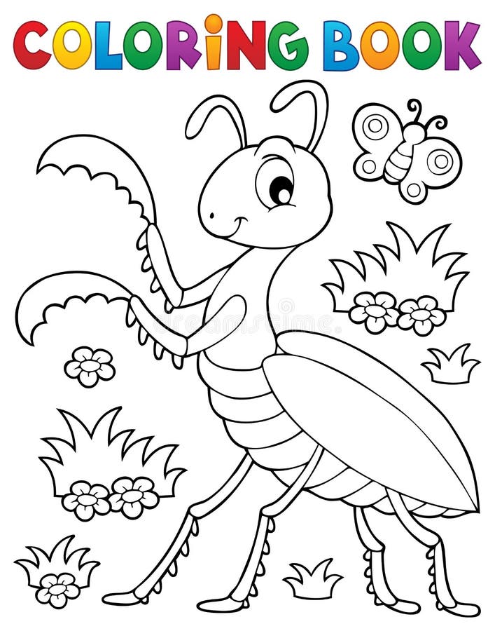 Praying mantis illustration stock illustrations â praying mantis illustration stock illustrations vectors clipart