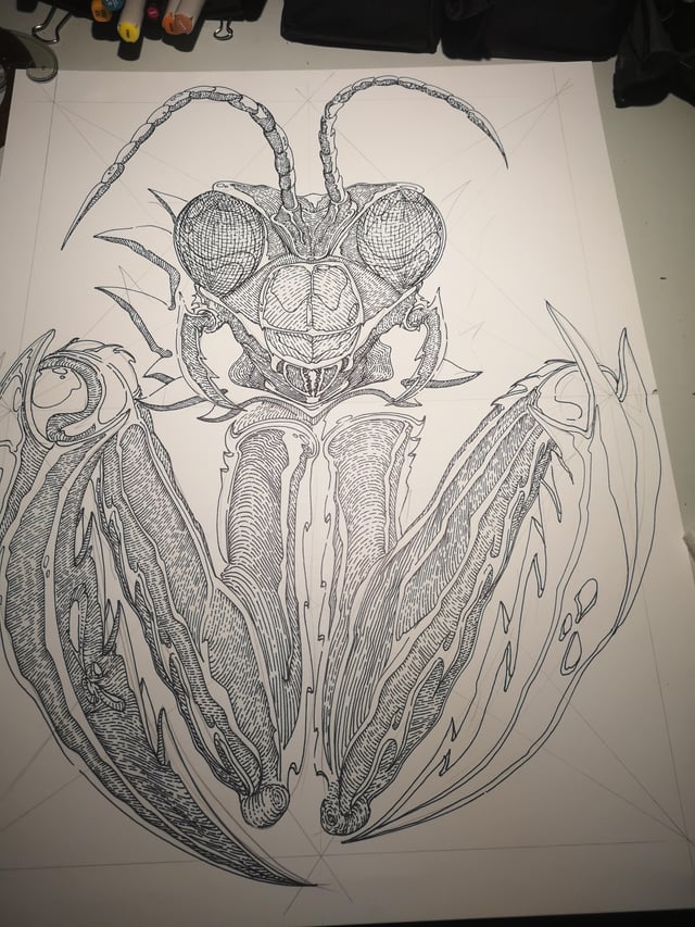 Praying mantis part work in progress enough for today more tomorrow rdrawing