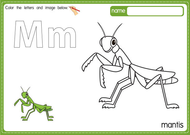 Praying mantis sketch stock illustrations royalty