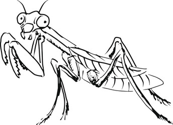 Praying mantis vector images over