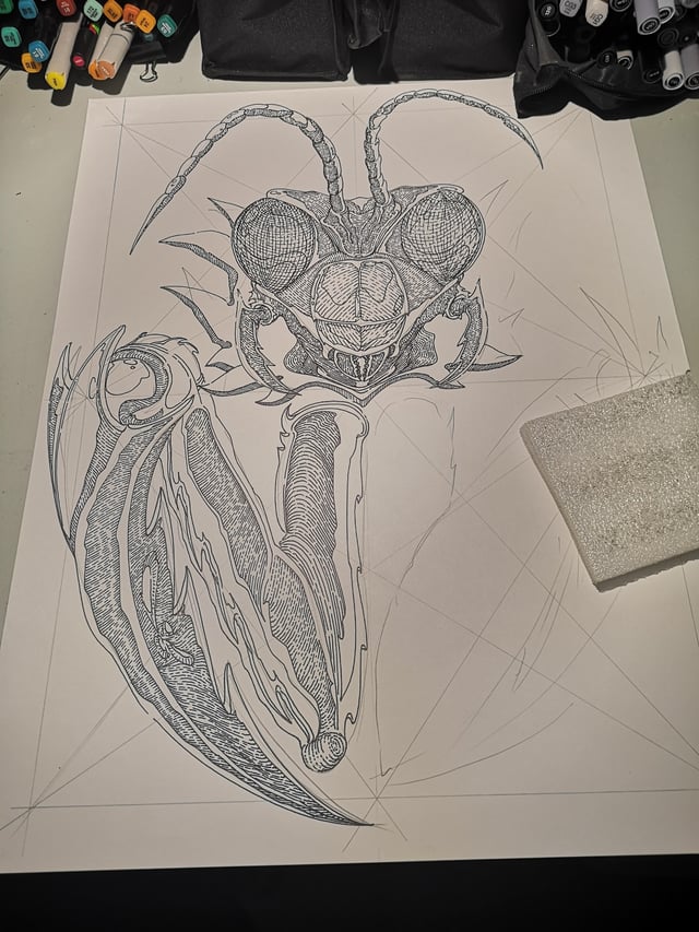 Praying mantis part work in progress enough for today more tomorrow rdrawing