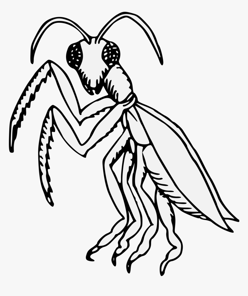 Transparent praying mantis clipart