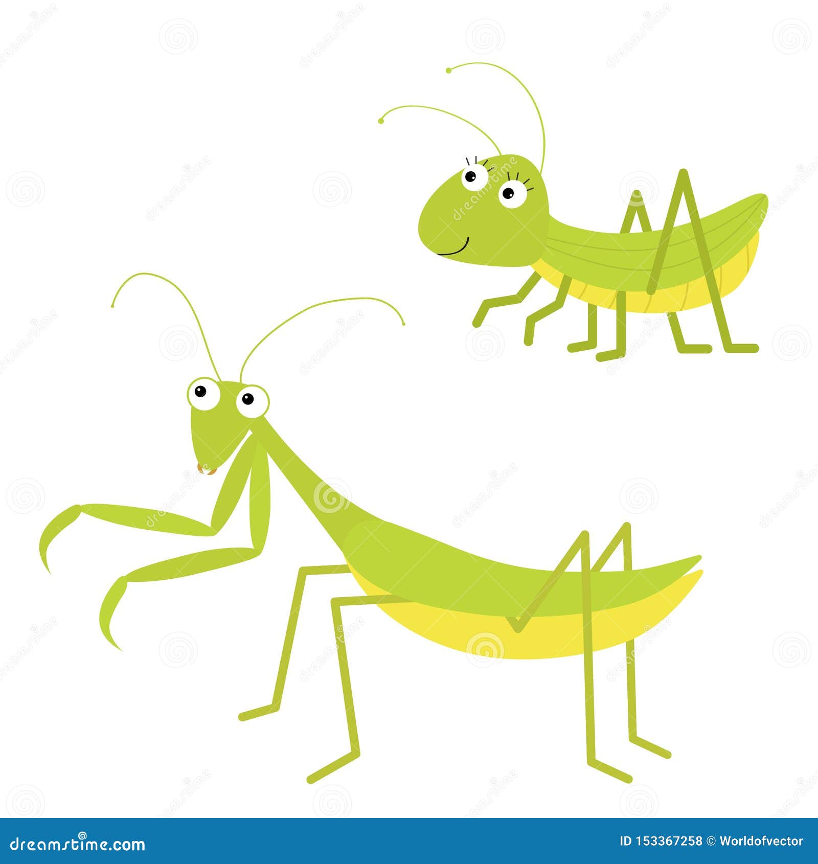 Mantis praying stock illustrations â mantis praying stock illustrations vectors clipart