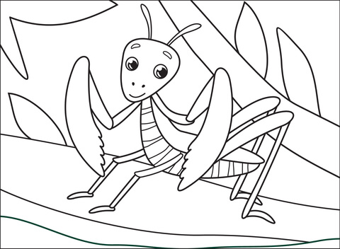 Mantis coloring page free printable coloring pages