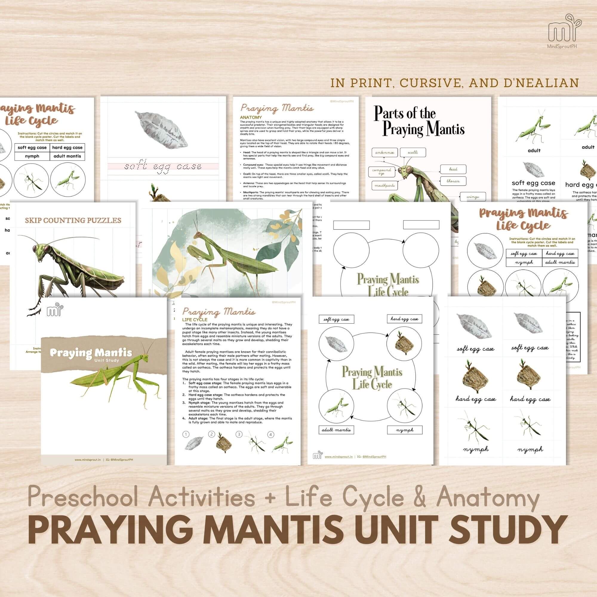 Prayg mantis unit study for ages