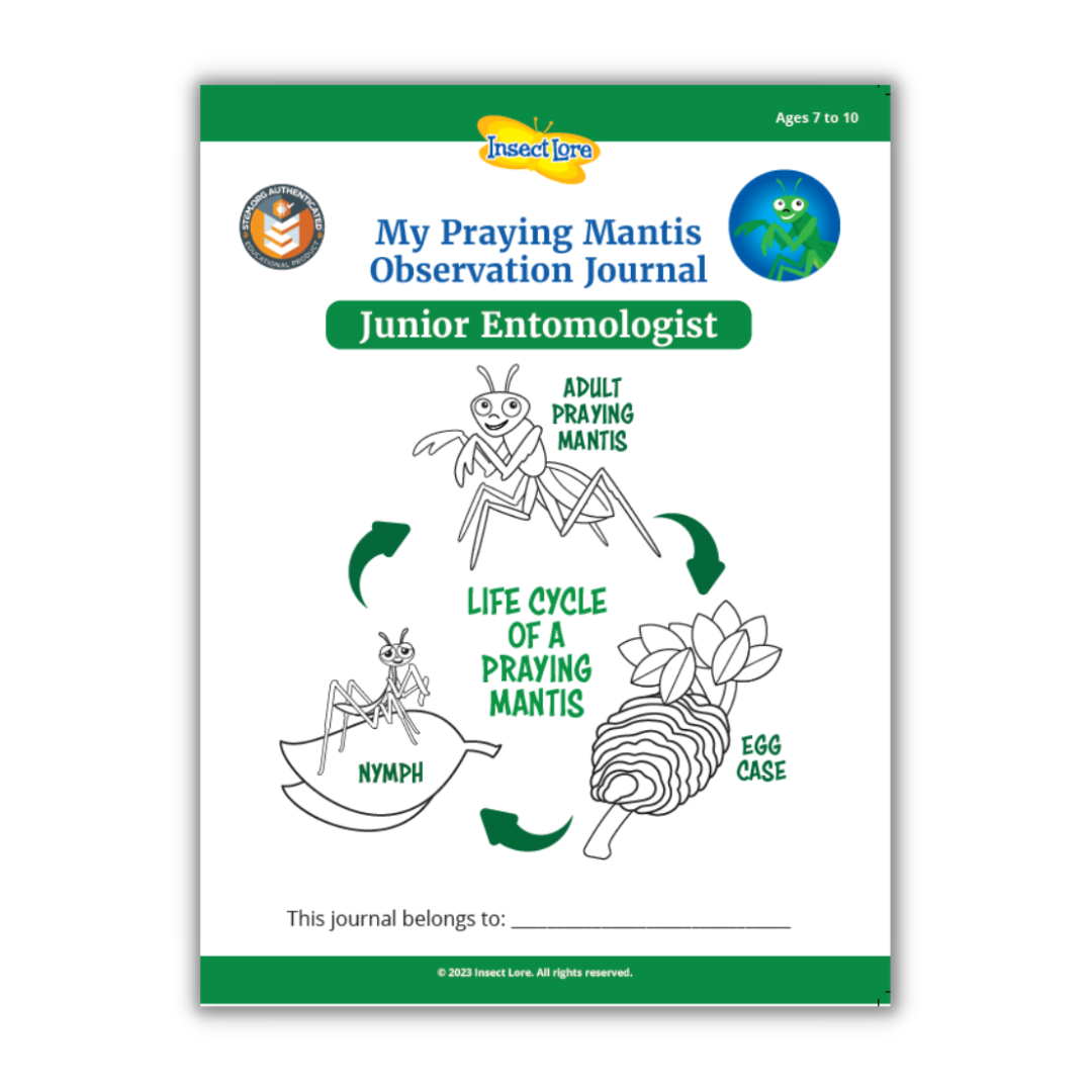 Junior entomologist stem journal praying mantis