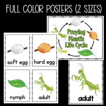 All about praying mantises bundle of printables and emergent readers