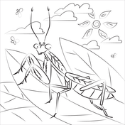 Praying mantis coloring pages free coloring pages