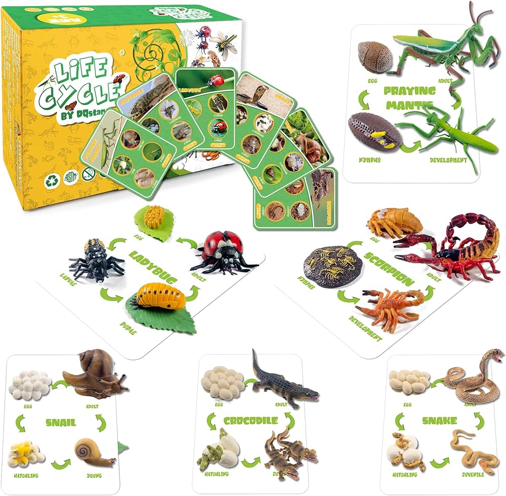 Life cycle figures of praying mantis crocodile ladybug snails scorpion snake science toys kit animal figures for kids age