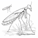 Praying mantis coloring pages