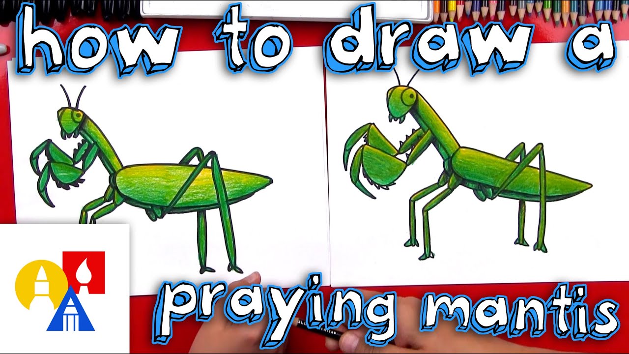 How to draw a praying mantis