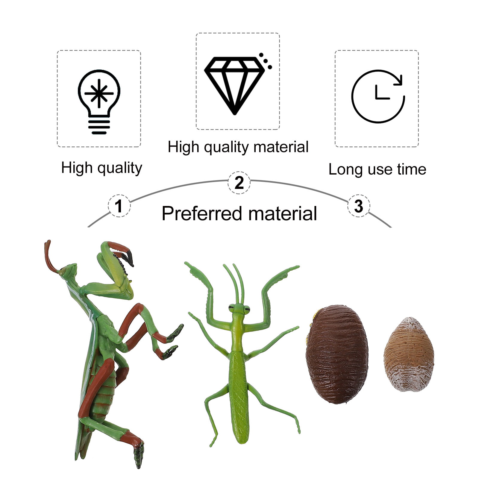 Set mantis life cycle figure insect life cycle figure early education prop