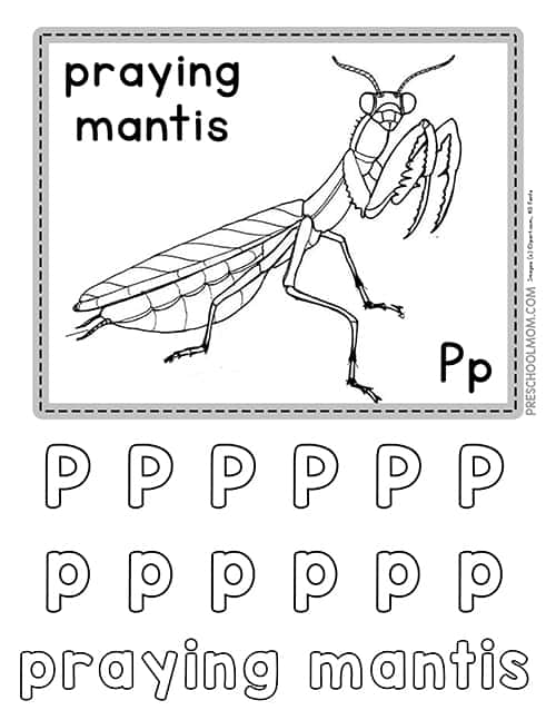 Alphabet bug worksheets