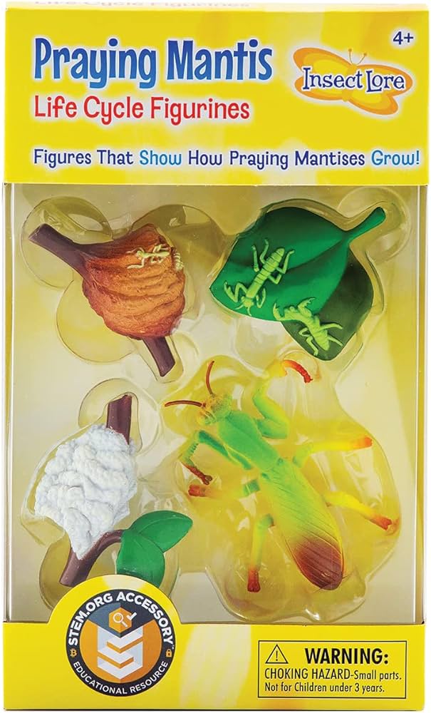 Praying mantis piece life cycle figures