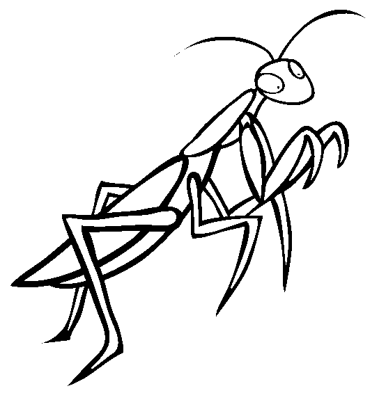 Praying mantis coloring page