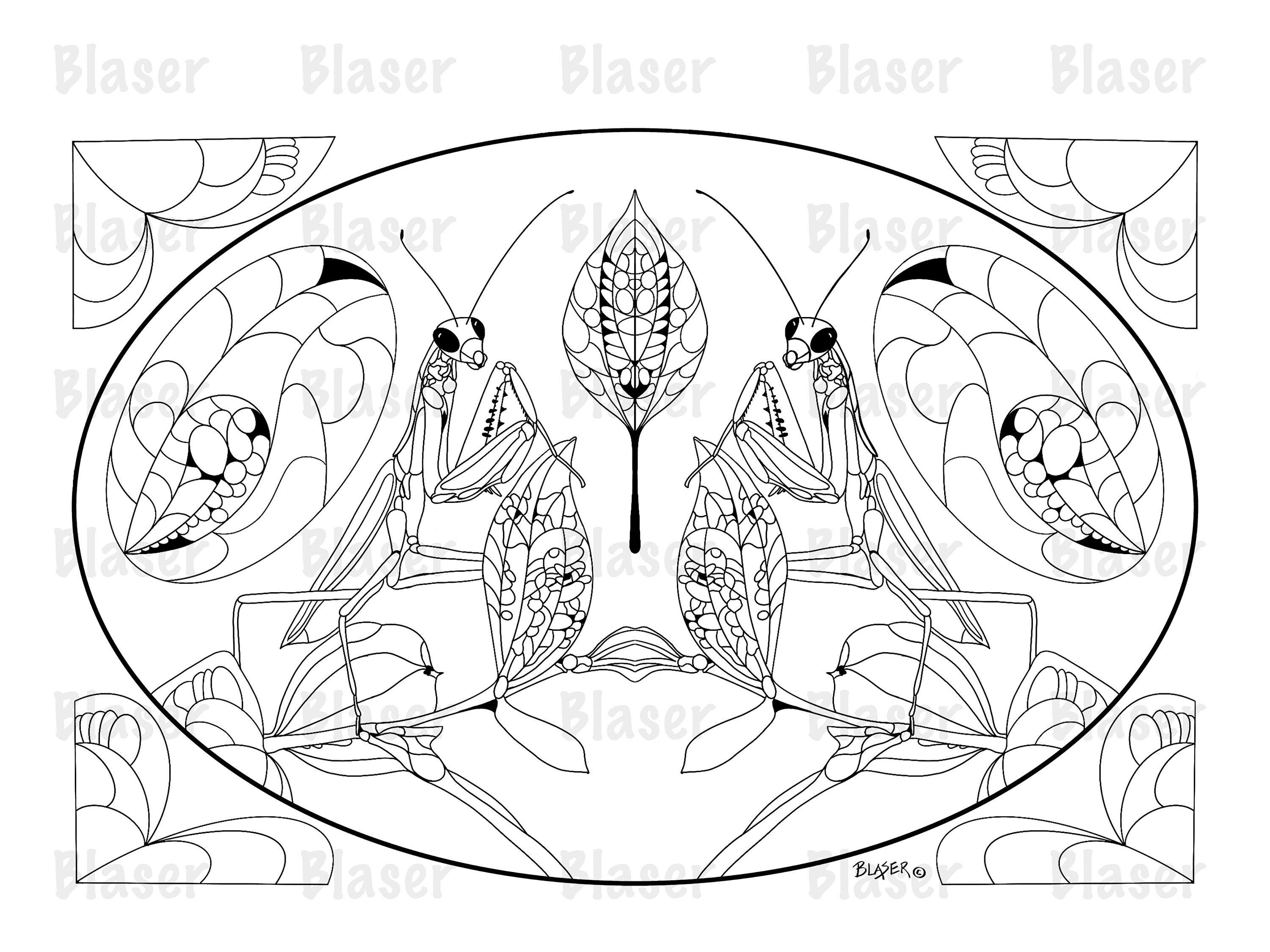 Coloring page praying mantis printable symmetrical coloring digital download adults kids insect