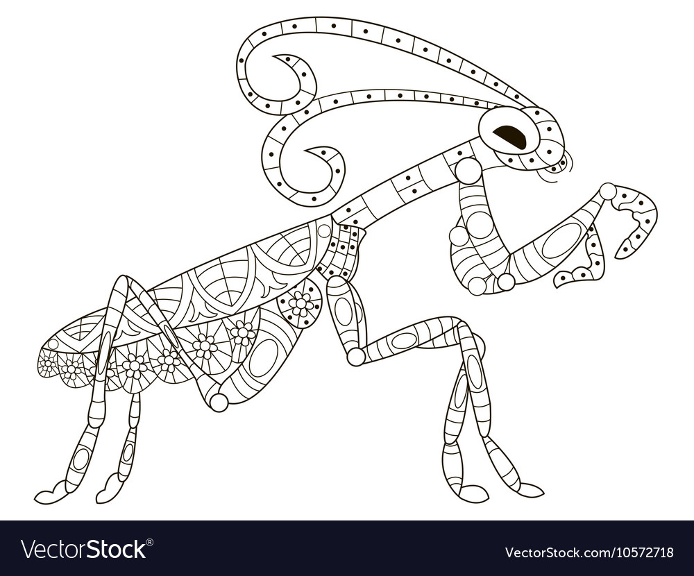 Mantis coloring for adults royalty free vector image