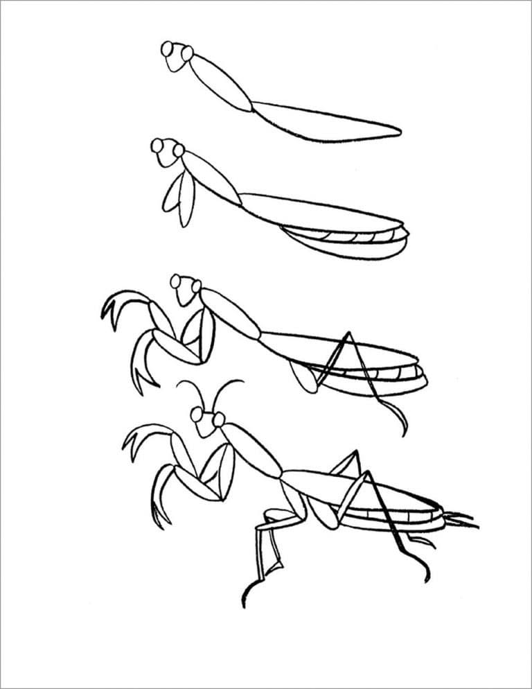 Cute praying mantis coloring page