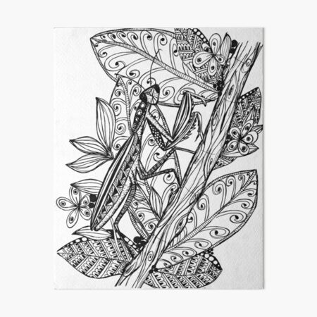 Praying mantis art board print for sale by laura maxwell